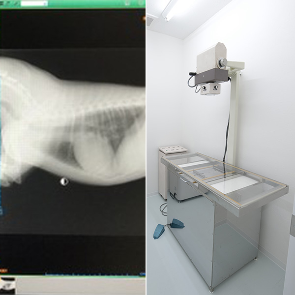 スミレペットクリニック レントゲン検査装置