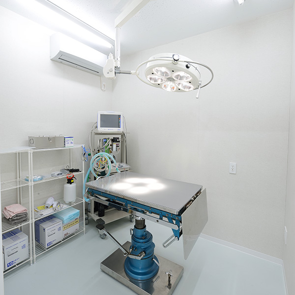 スミレペットクリニック 手術室（吸入麻酔器、麻酔モニター、電気メス）